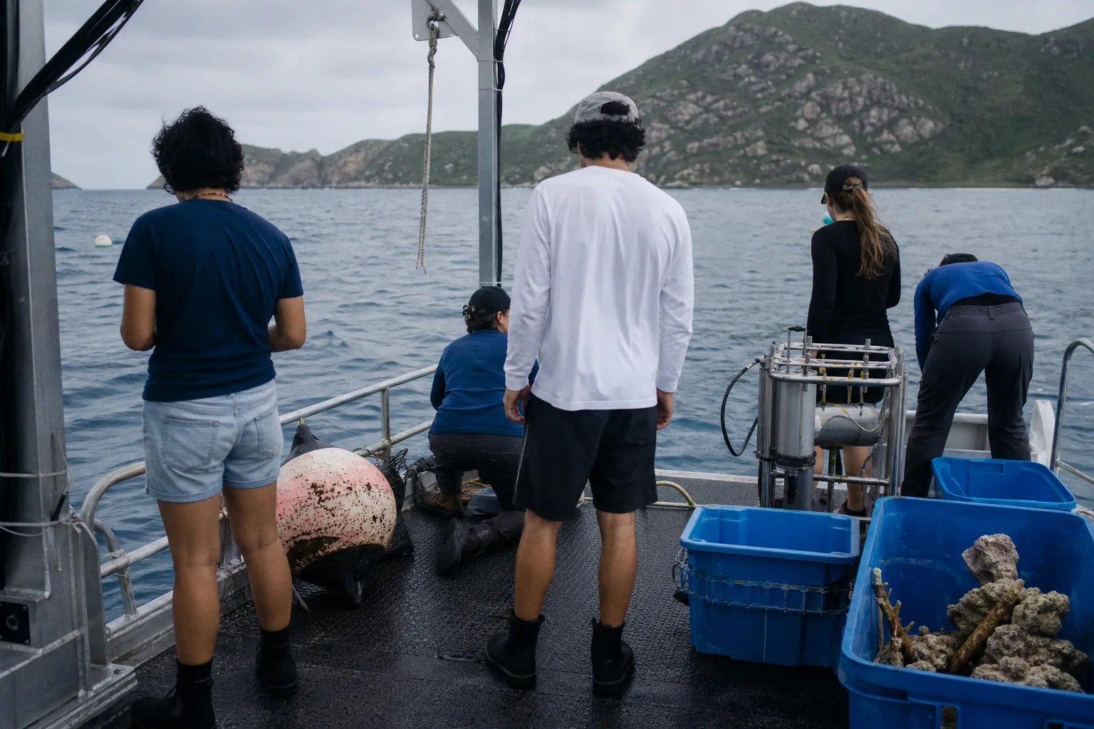 Can an Art-Science Consortium Actually Save Coral Reefs from Collapse?