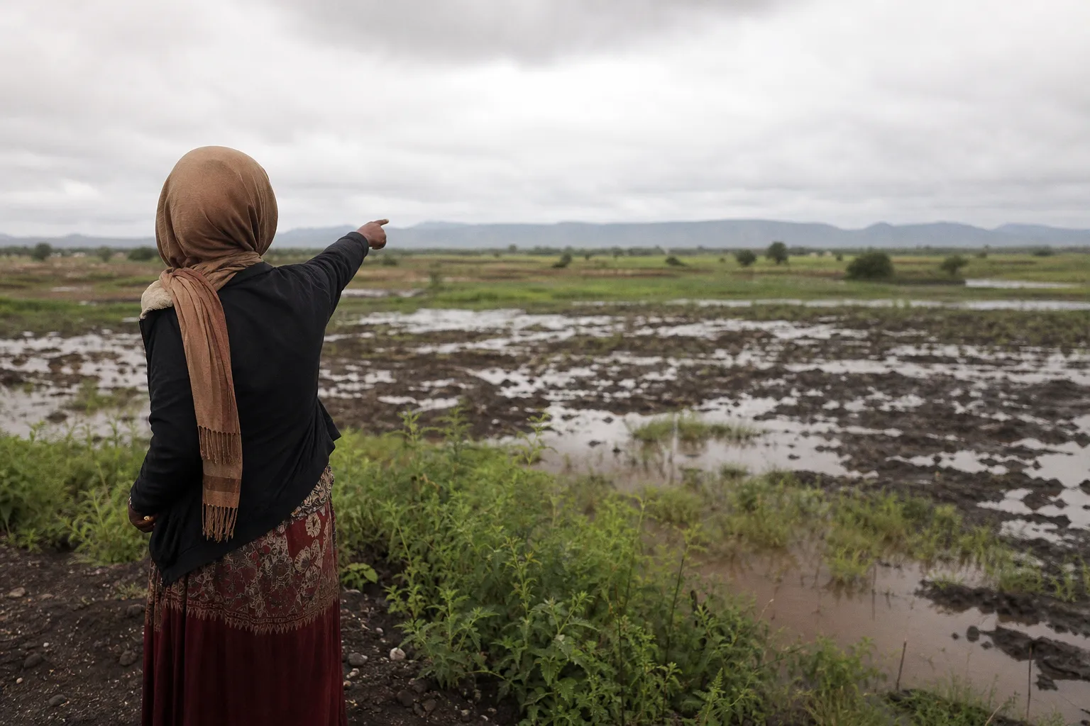 Global Hunger Crisis: How Energy Shocks and Conflict Undermine Food Security