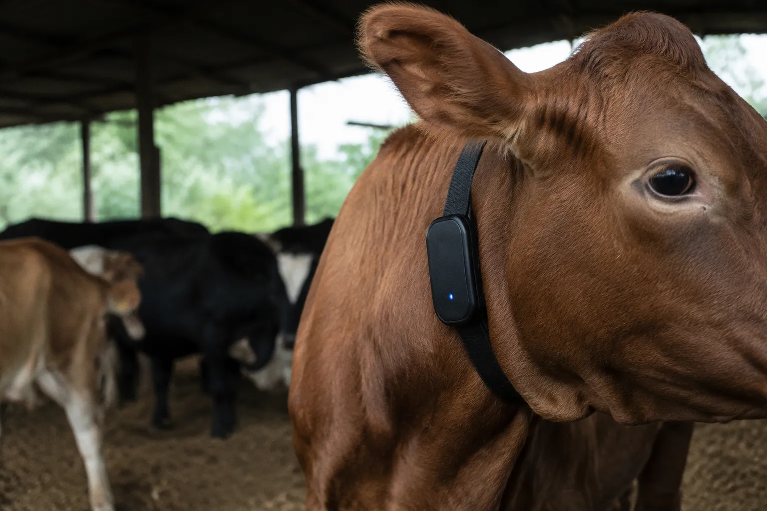 Green Assist: advancing sustainable livestock farming through AI-powered innovation