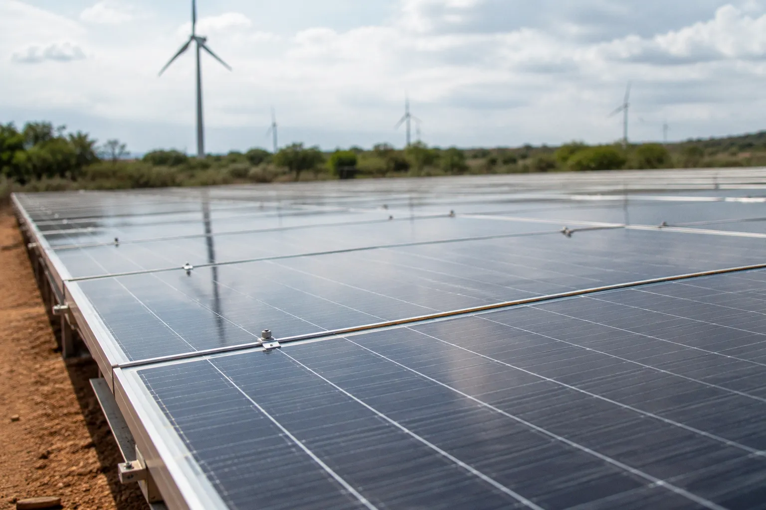 Green tech and the future of Africa’s economy