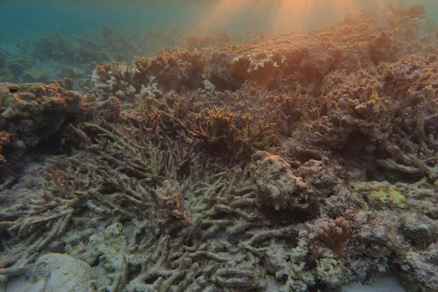 Is Climate Change Supercharging El Niño? Scientists Don’t Agree.