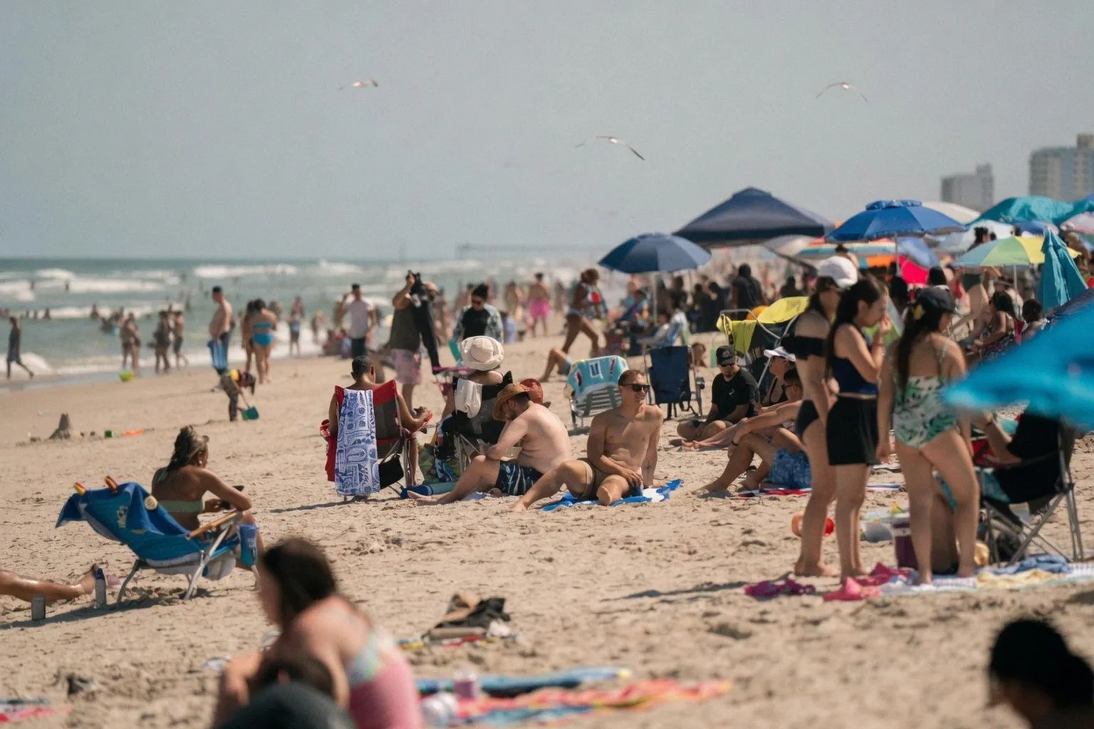Massive Pacific Marine Heatwave Threatens Global Weather Disruption
